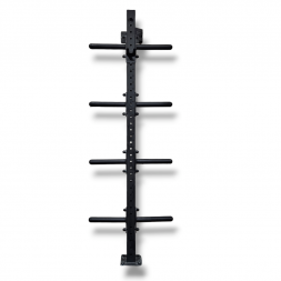 Bumpers and Barbell...