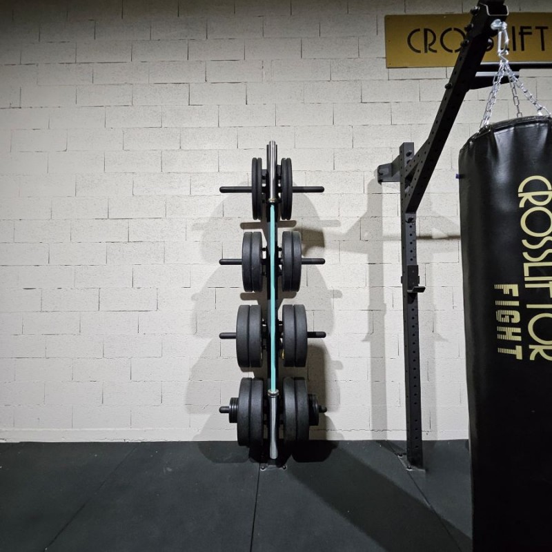Bumpers and Barbell Wallmount Rack
