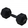 Dumbbell haltère 10 KG occasion