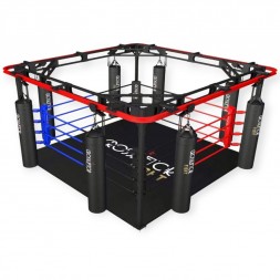 Combo Fight - Ring de boxeo...