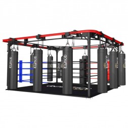 Combo Fight - Ring de boxeo...