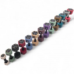 Dumbbell Haltère Color 2.0