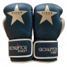 Gants de Boxe Elite - Noir - la paire
