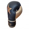 Gants de boxe Elite Noir