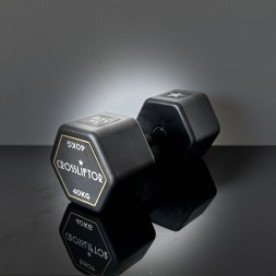 Dumbbell Haltère 40 kg