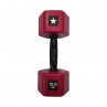 Dumbbell Haltère Color 10 kg