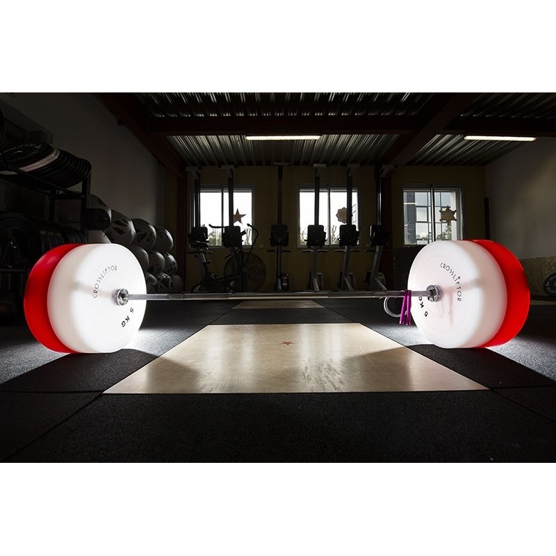Technical Bumper Plates 5kg