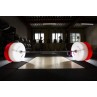 Technical Bumper Plates 5kg