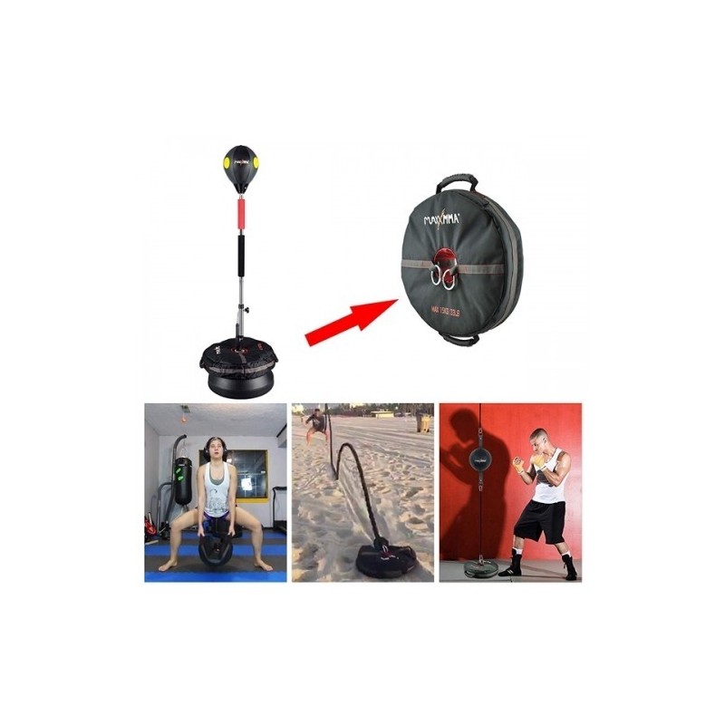 Cobra Reflex Punching Bag