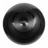 Gym Ball 55cm