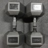 Dumbbells haltères 22,5 KG