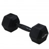 Dumbbell haltère 7 KG