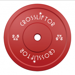 Technische schijf 2,5 kg
