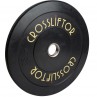 Home Gym gewichthef discus 5 kg Home Gym gewichthef discus 5 kg