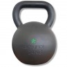 Kettlebell Stars - Occasion 24kg