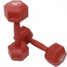 Dumbbells Kids 2,5 kg