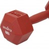 Dumbbell Kids 2,5 kg