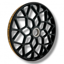 Iniciación Disco dropable 2,5 kg